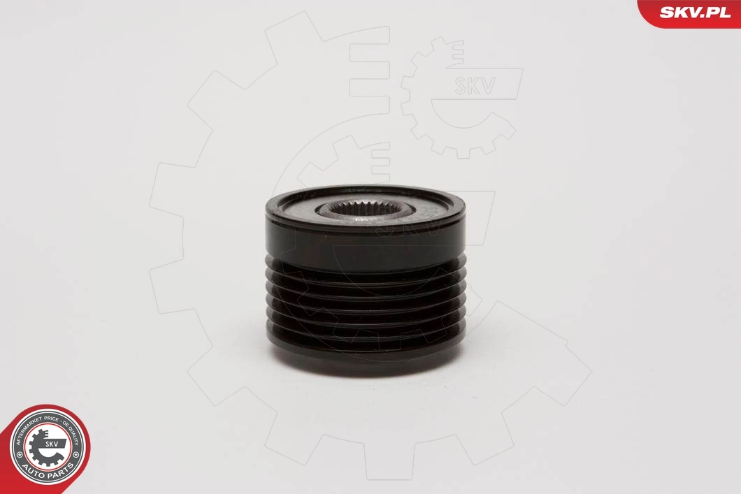 Alternator Freewheel Clutch